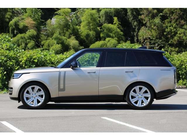 ゴールド×ブラックのカラーになっております。