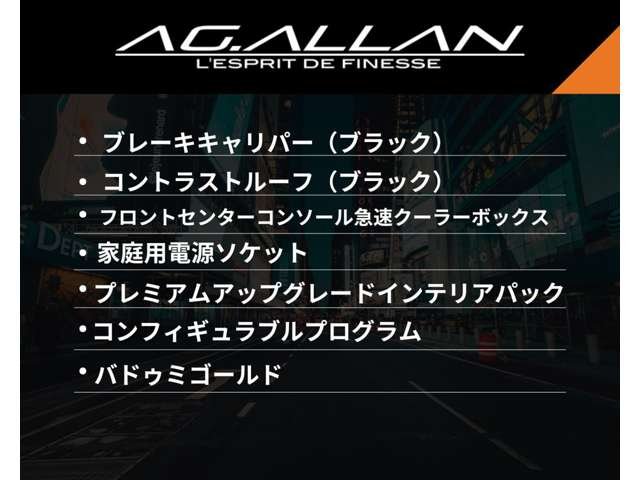 オプション詳細です。総額130万円以上のオプションとなります。